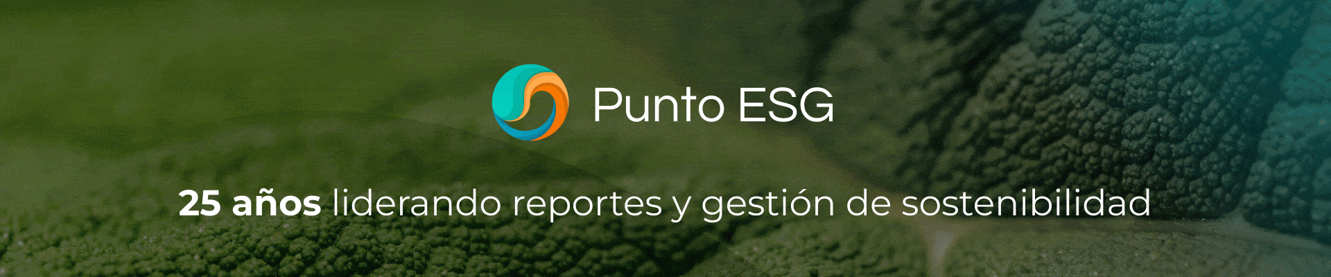 Punto-ESG-Superior-2025
